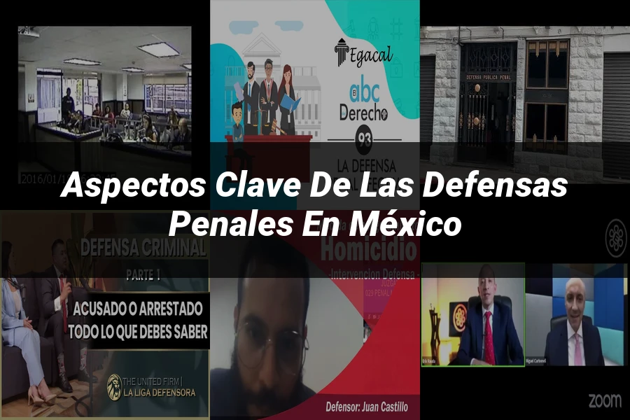 "Aspectos Clave de las Defensas Penales en México"