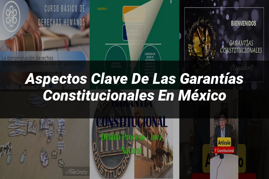 "Aspectos Clave de las Garantías Constitucionales en México"