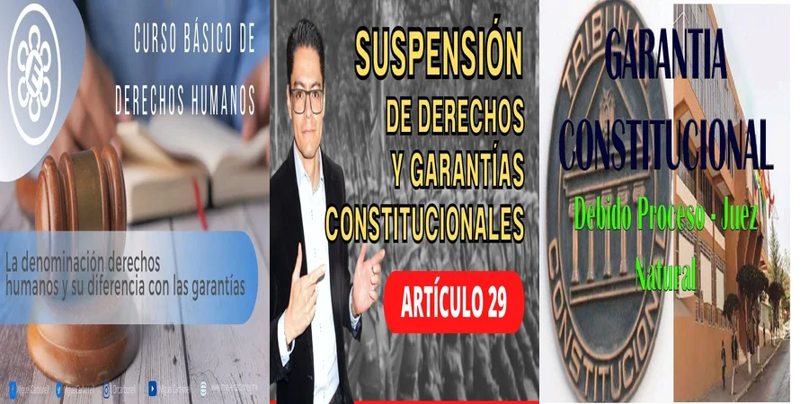 "Aspectos Clave de las Garantías Constitucionales en México"