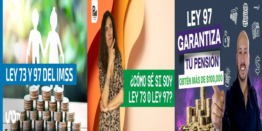 "Aspectos Clave de las Leyes 73 y 97 del IMSS en México"