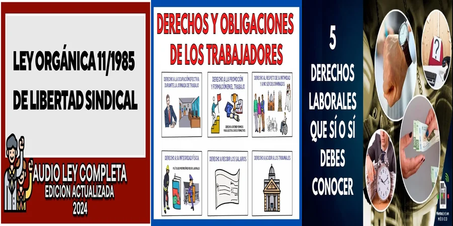 "Aspectos Clave de las Leyes Sindicales en México que Debes Saber"