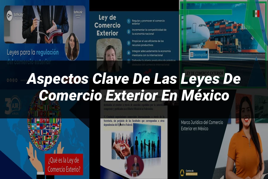 "Aspectos Clave de las Leyes de Comercio Exterior en México"