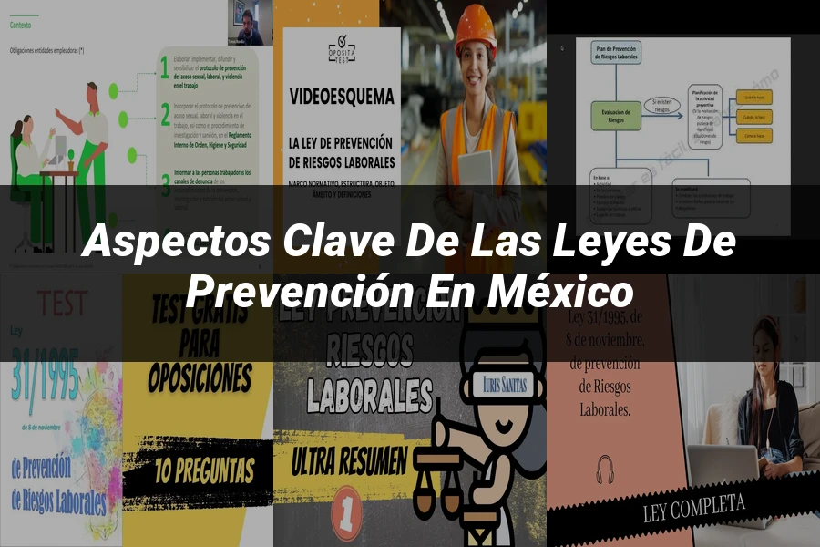"Aspectos Clave de las Leyes de Prevención en México"