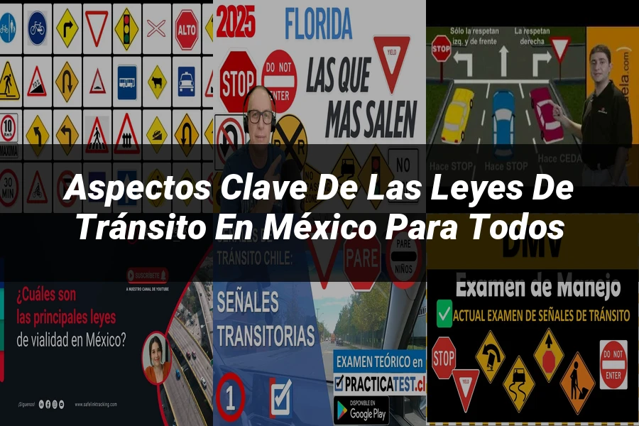 "Aspectos Clave de las Leyes de Tránsito en México para Todos"