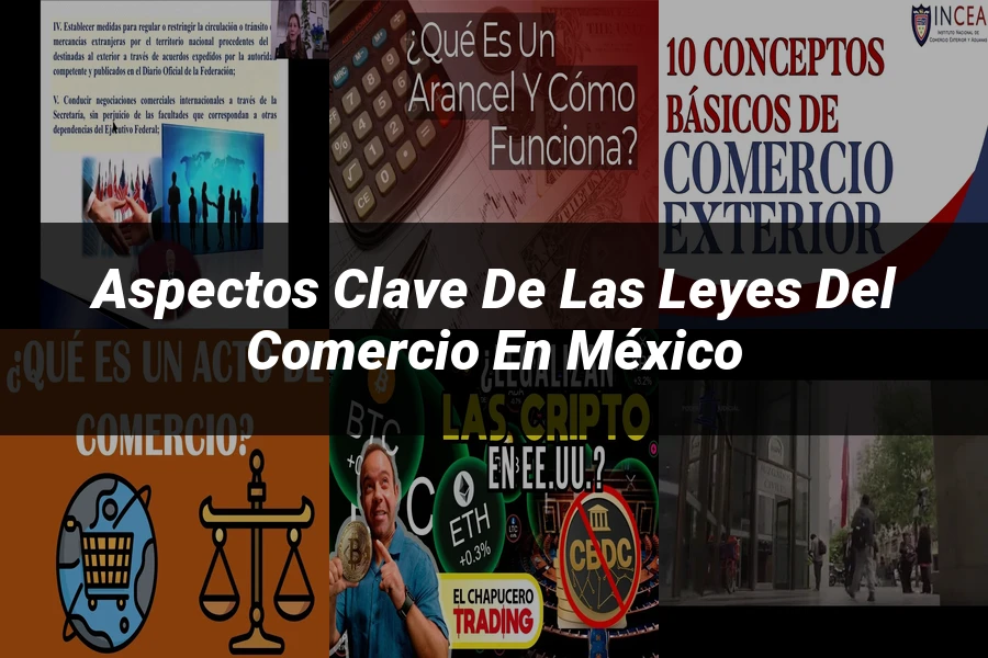 "Aspectos Clave de las Leyes del Comercio en México"