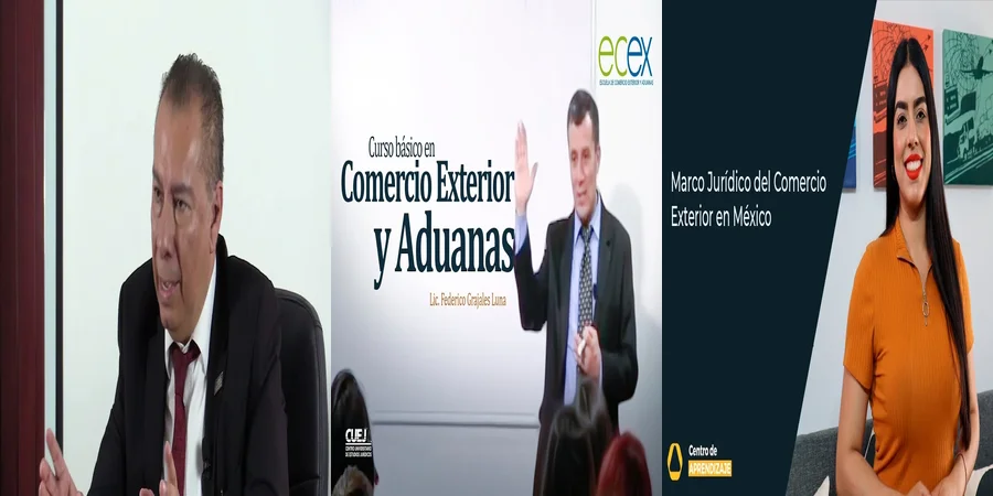 "Aspectos Clave de las Leyes del Comercio en México"