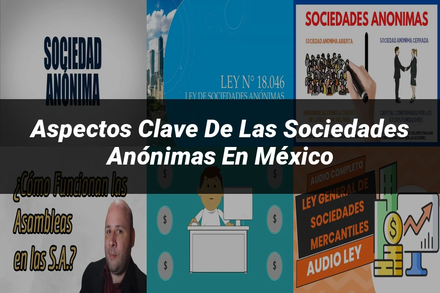 "Aspectos Clave de las Sociedades Anónimas en México"