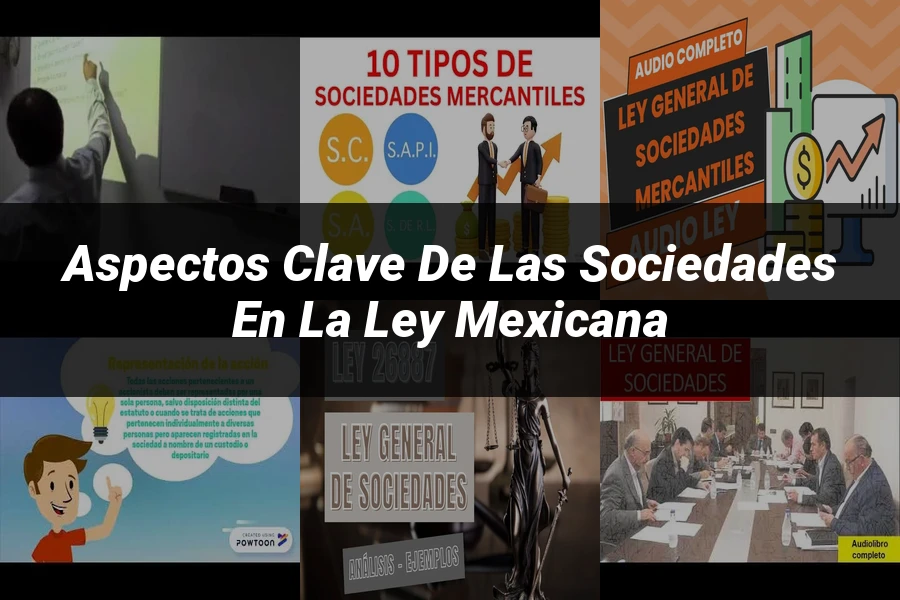 "Aspectos Clave de las Sociedades en la Ley Mexicana"