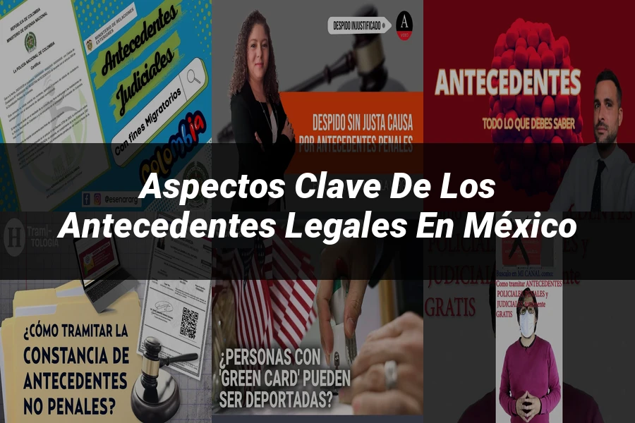 "Aspectos Clave de los Antecedentes Legales en México"