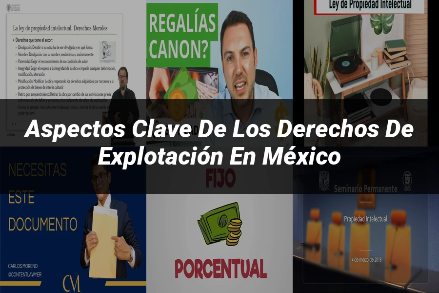 "Aspectos Clave de los Derechos de Explotación en México"