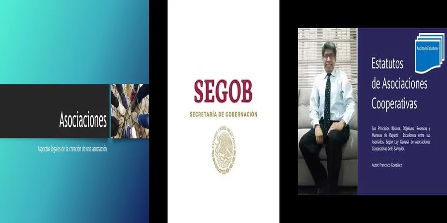 "Aspectos Clave de los Estatutos de Asociaciones Culturales en México"