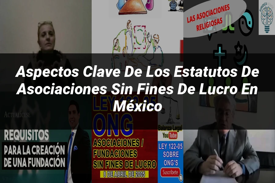 "Aspectos Clave de los Estatutos de Asociaciones Sin Fines de Lucro en México