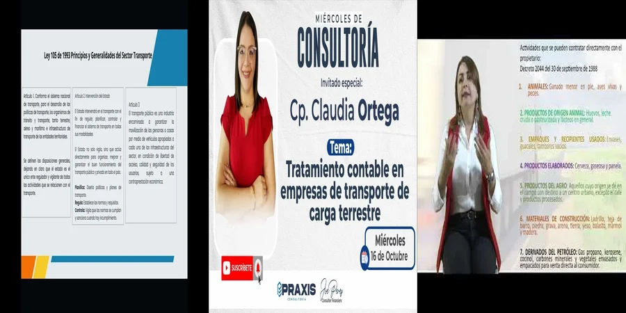 "Aspectos Clave de los Estatutos en Empresas de Transporte en México"