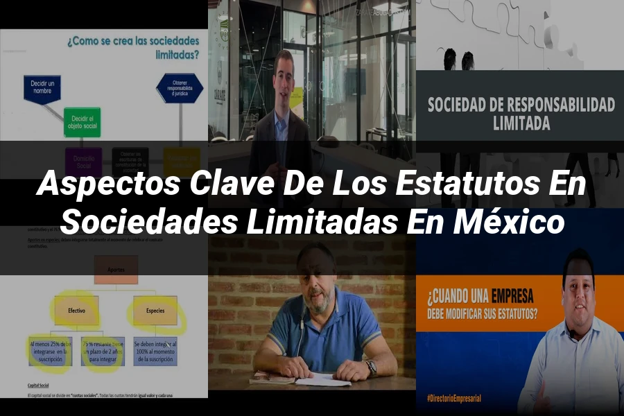 "Aspectos Clave de los Estatutos en Sociedades Limitadas en México"