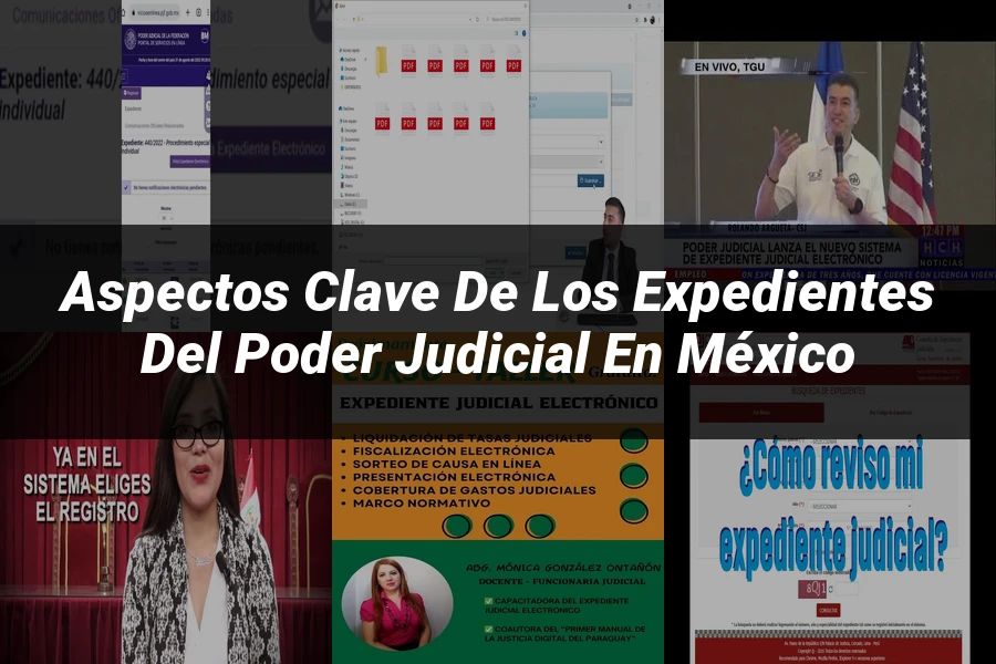 "Aspectos Clave de los Expedientes del Poder Judicial en México"