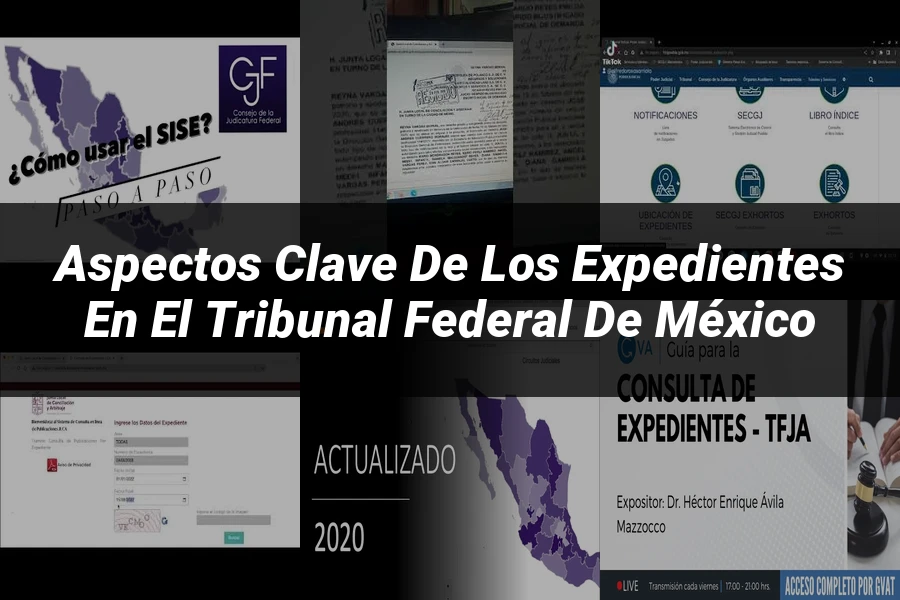 "Aspectos Clave de los Expedientes en el Tribunal Federal de México"