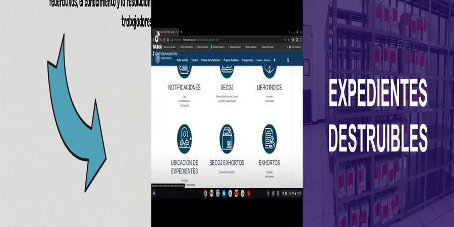 "Aspectos Clave de los Expedientes en el Tribunal Federal de México"