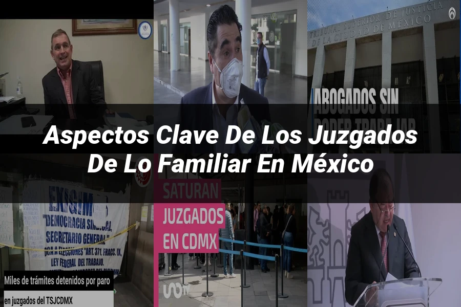 "Aspectos Clave de los Juzgados de lo Familiar en México"