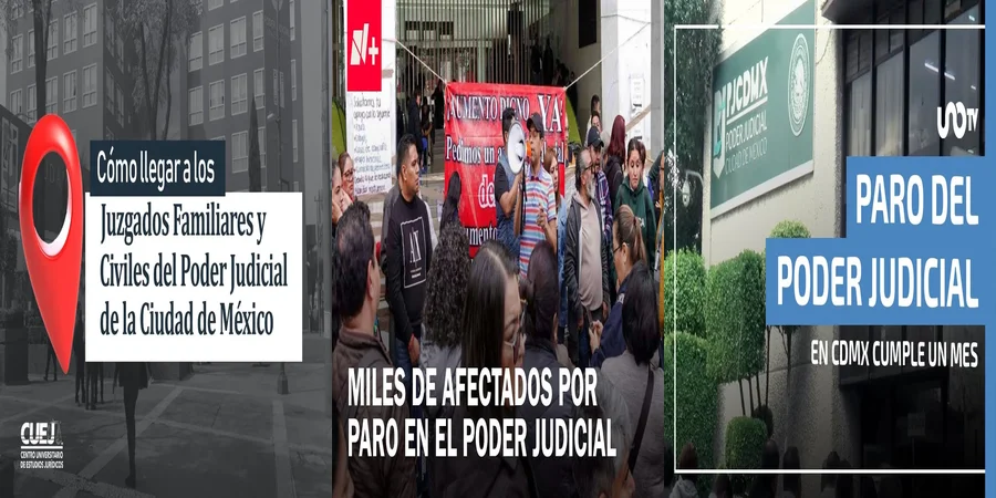 "Aspectos Clave de los Juzgados de lo Familiar en México"