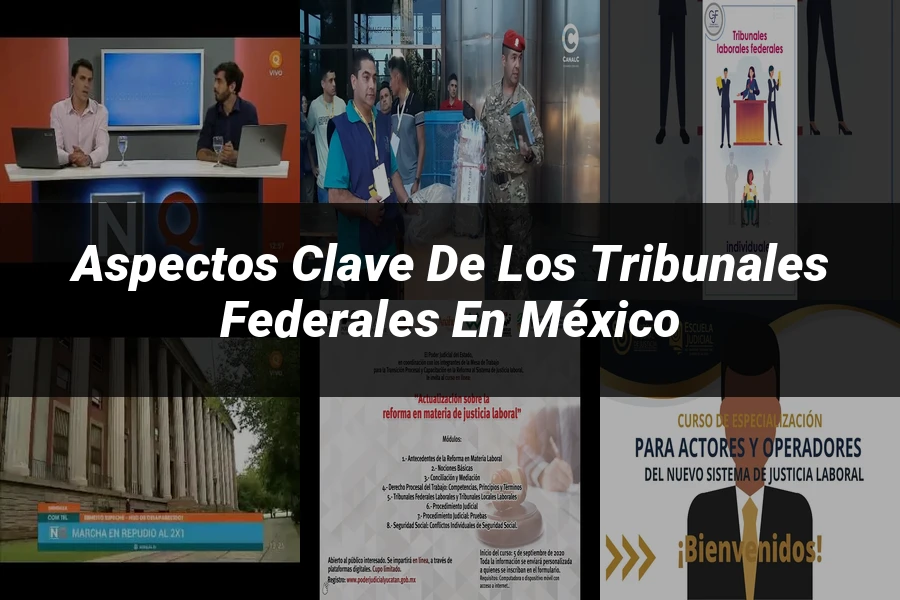 "Aspectos Clave de los Tribunales Federales en México"