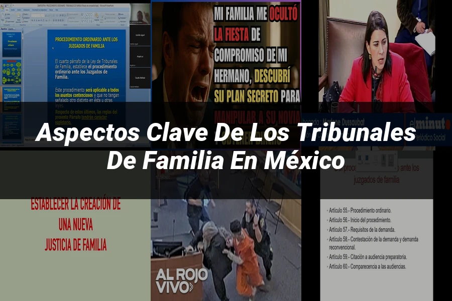 "Aspectos Clave de los Tribunales de Familia en México"