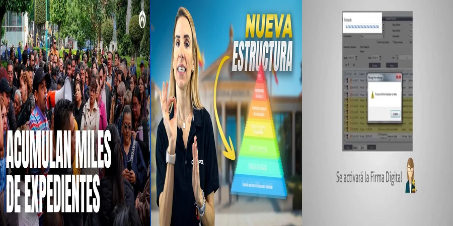 "Aspectos Clave de los Tribunales del Poder Judicial en México"