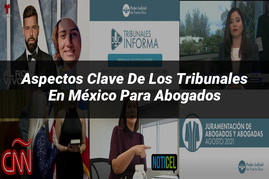 "Aspectos Clave de los Tribunales en México para Abogados"