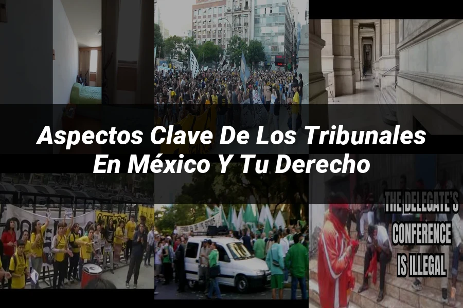 "Aspectos Clave de los Tribunales en México y Tu Derecho"