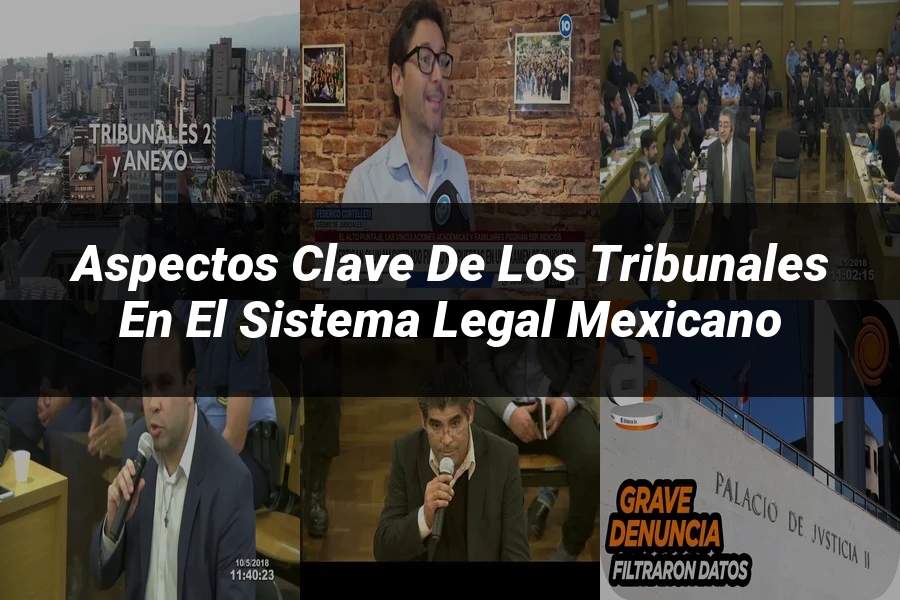 "Aspectos Clave de los Tribunales en el Sistema Legal Mexicano"