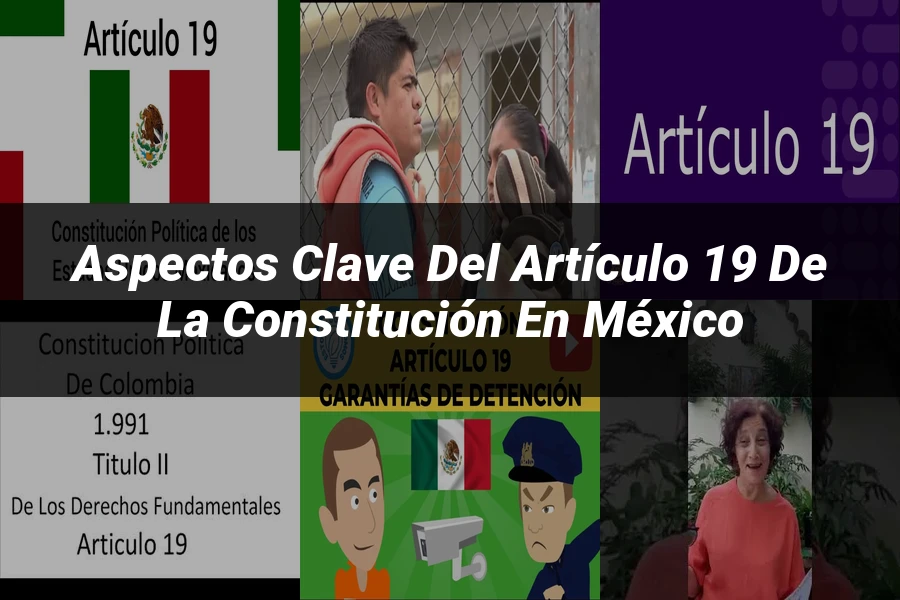 "Aspectos Clave del Artículo 19 de la Constitución en México"