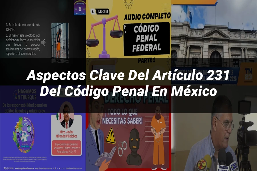 "Aspectos Clave del Artículo 231 del Código Penal en México"