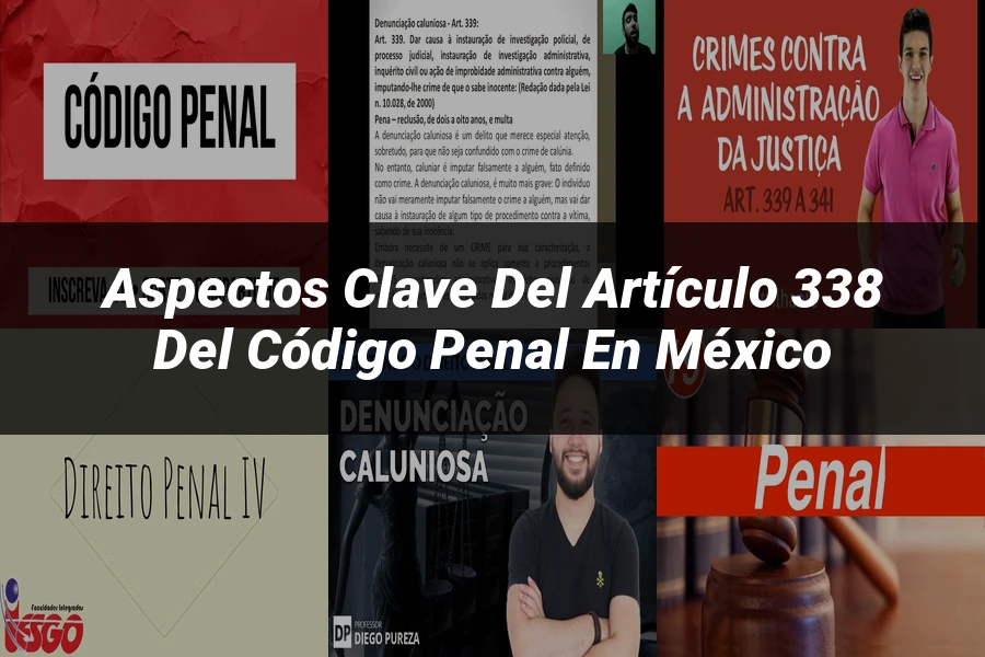 "Aspectos Clave del Artículo 338 del Código Penal en México"