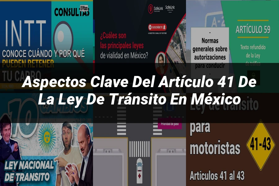 "Aspectos Clave del Artículo 41 de la Ley de Tránsito en México"