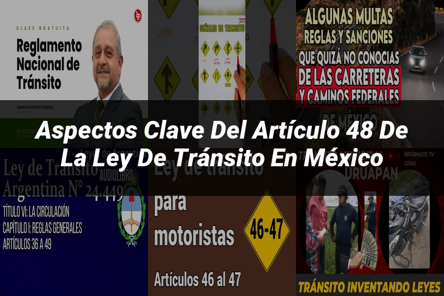 "Aspectos Clave del Artículo 48 de la Ley de Tránsito en México"