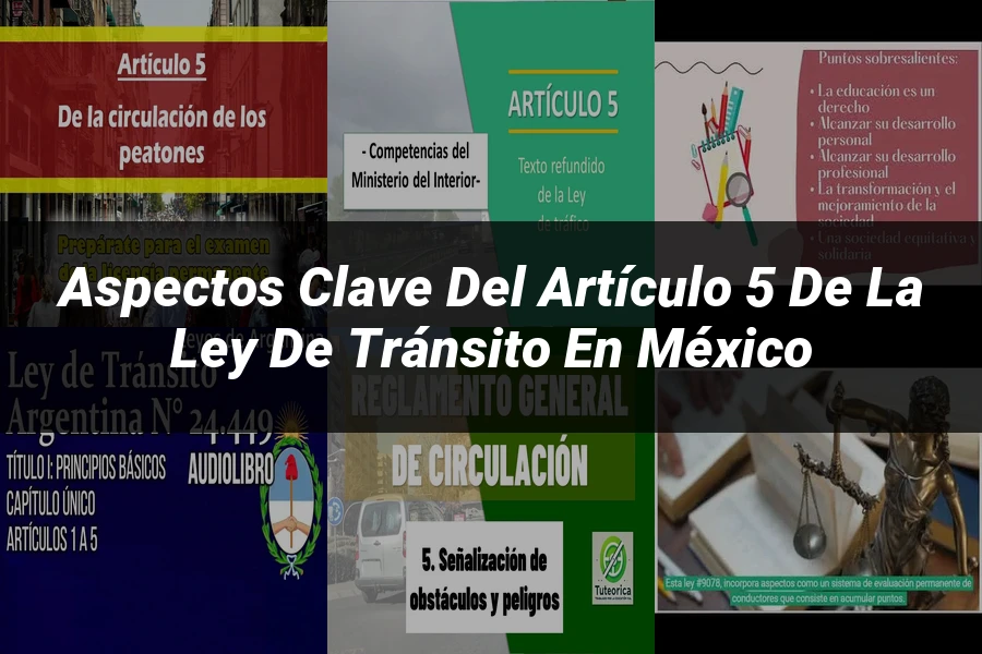"Aspectos Clave del Artículo 5 de la Ley de Tránsito en México"