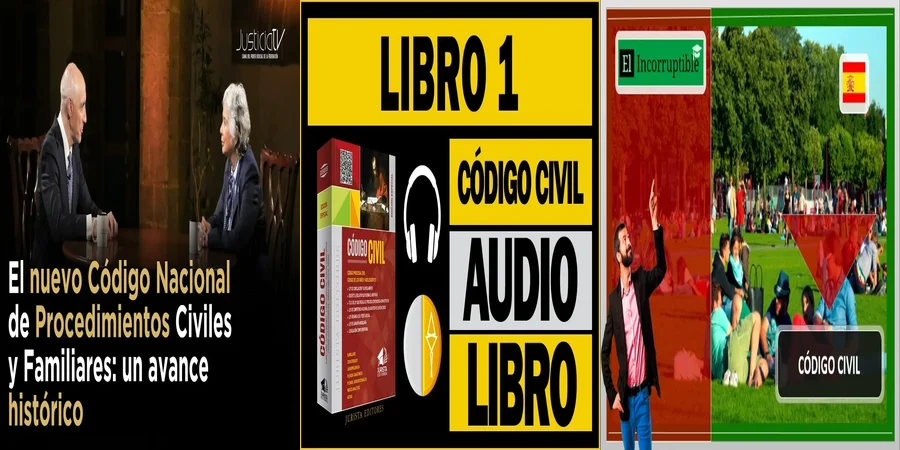 "Aspectos Clave del Código Civil Actualizado en México"