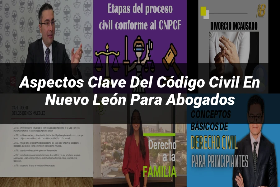 "Aspectos Clave del Código Civil en Nuevo León para Abogados"