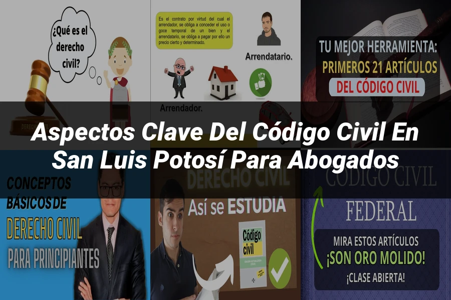 "Aspectos Clave del Código Civil en San Luis Potosí para Abogados"