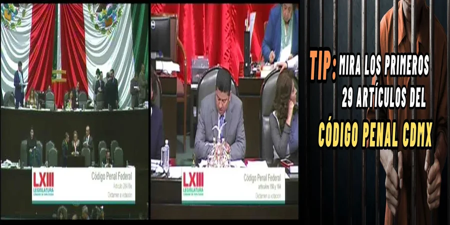 "Aspectos Clave del Código Penal Federal en México"
