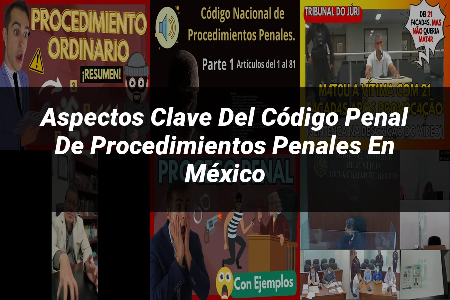 "Aspectos Clave del Código Penal de Procedimientos Penales en México"