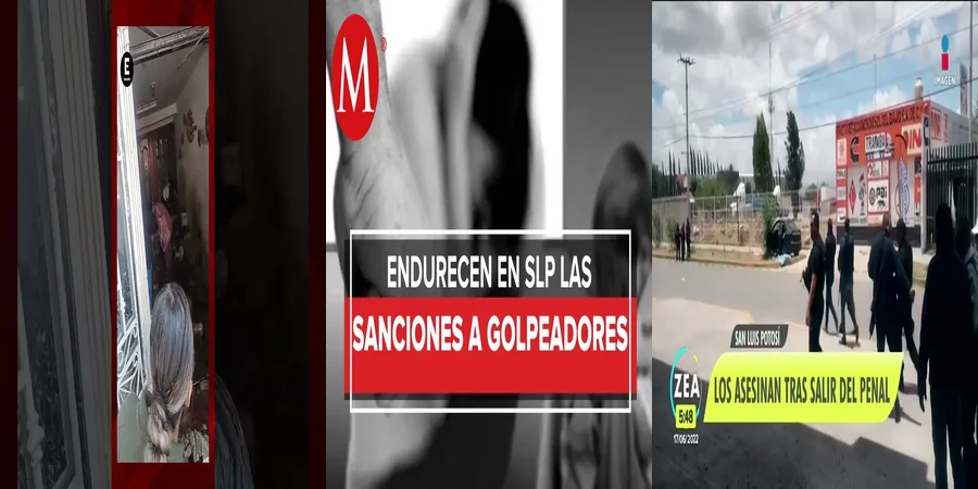 "Aspectos Clave del Código Penal de San Luis Potosí en México"