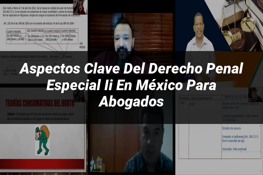 "Aspectos Clave del Derecho Penal Especial II en México para Abogados"