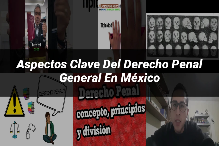 "Aspectos Clave del Derecho Penal General en México"