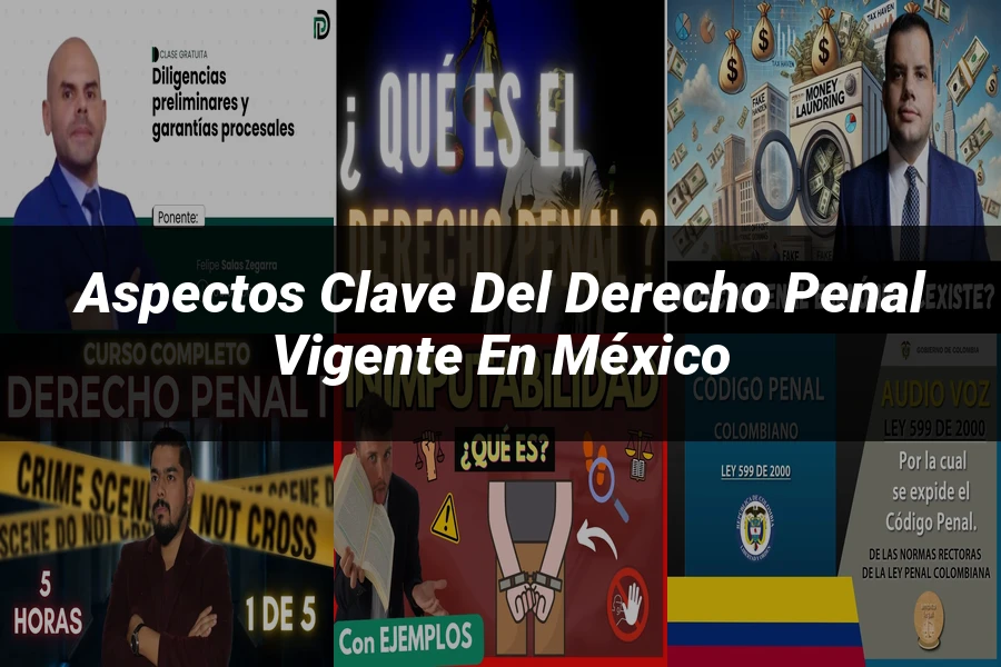 "Aspectos Clave del Derecho Penal Vigente en México"