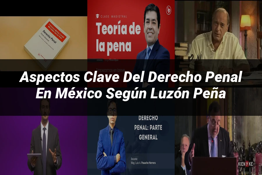 "Aspectos Clave del Derecho Penal en México según Luzón Peña"