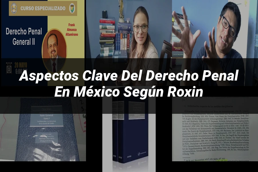"Aspectos Clave del Derecho Penal en México según Roxin"