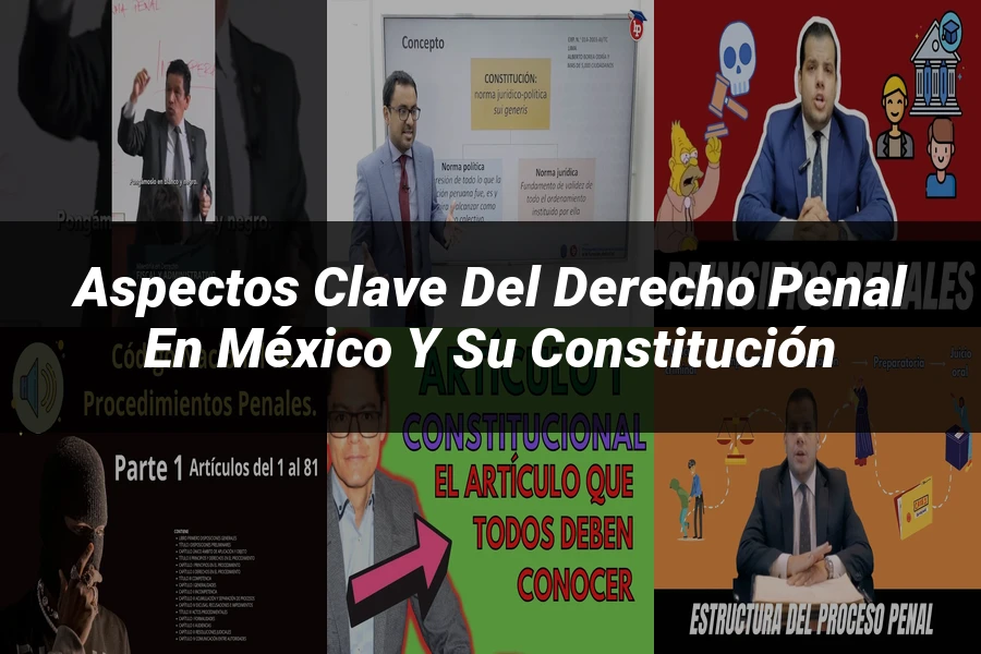 "Aspectos Clave del Derecho Penal en México y su Constitución"