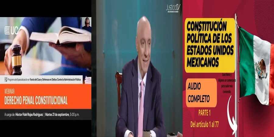 "Aspectos Clave del Derecho Penal en México y su Constitución"