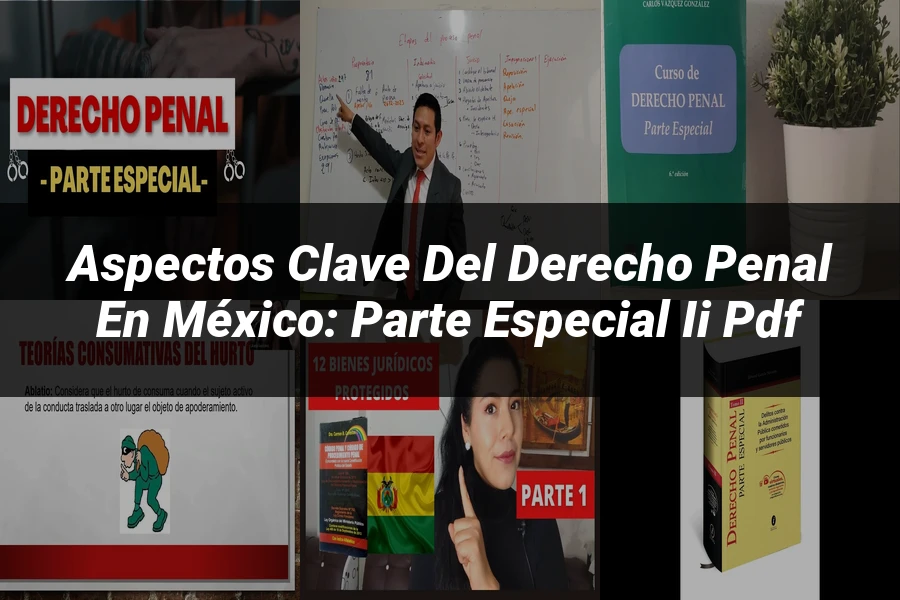 "Aspectos Clave del Derecho Penal en México: Parte Especial II PDF"