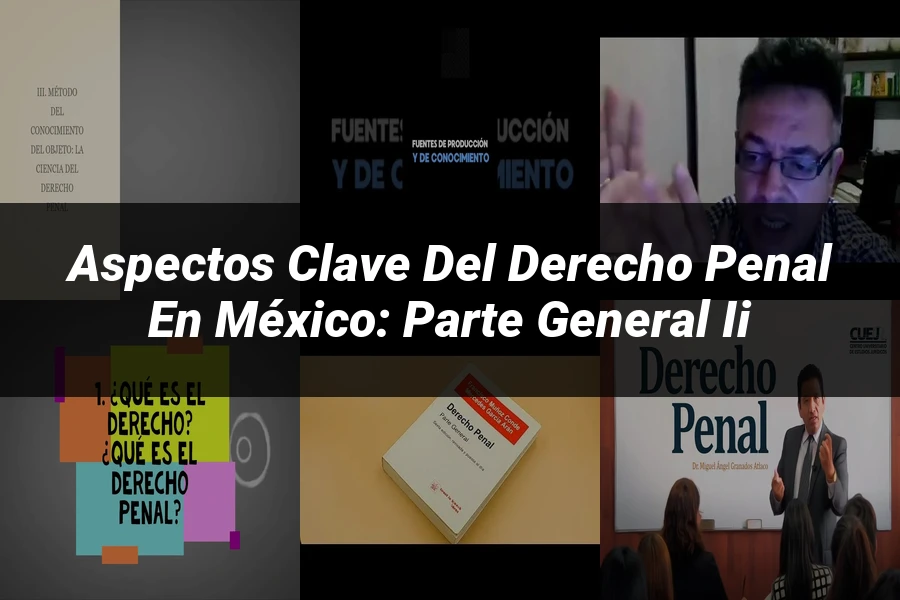 "Aspectos Clave del Derecho Penal en México: Parte General II"
